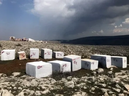 Medmar galeri fotoğrafı