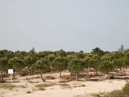 Medmar fuar/etkinlik fotoğrafı