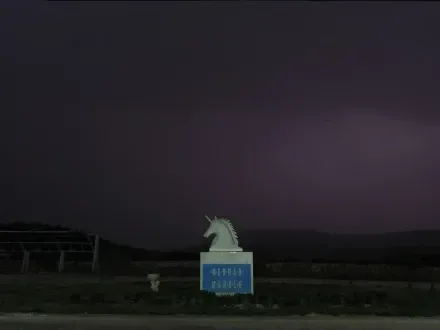 Medmar galeri fotoğrafı